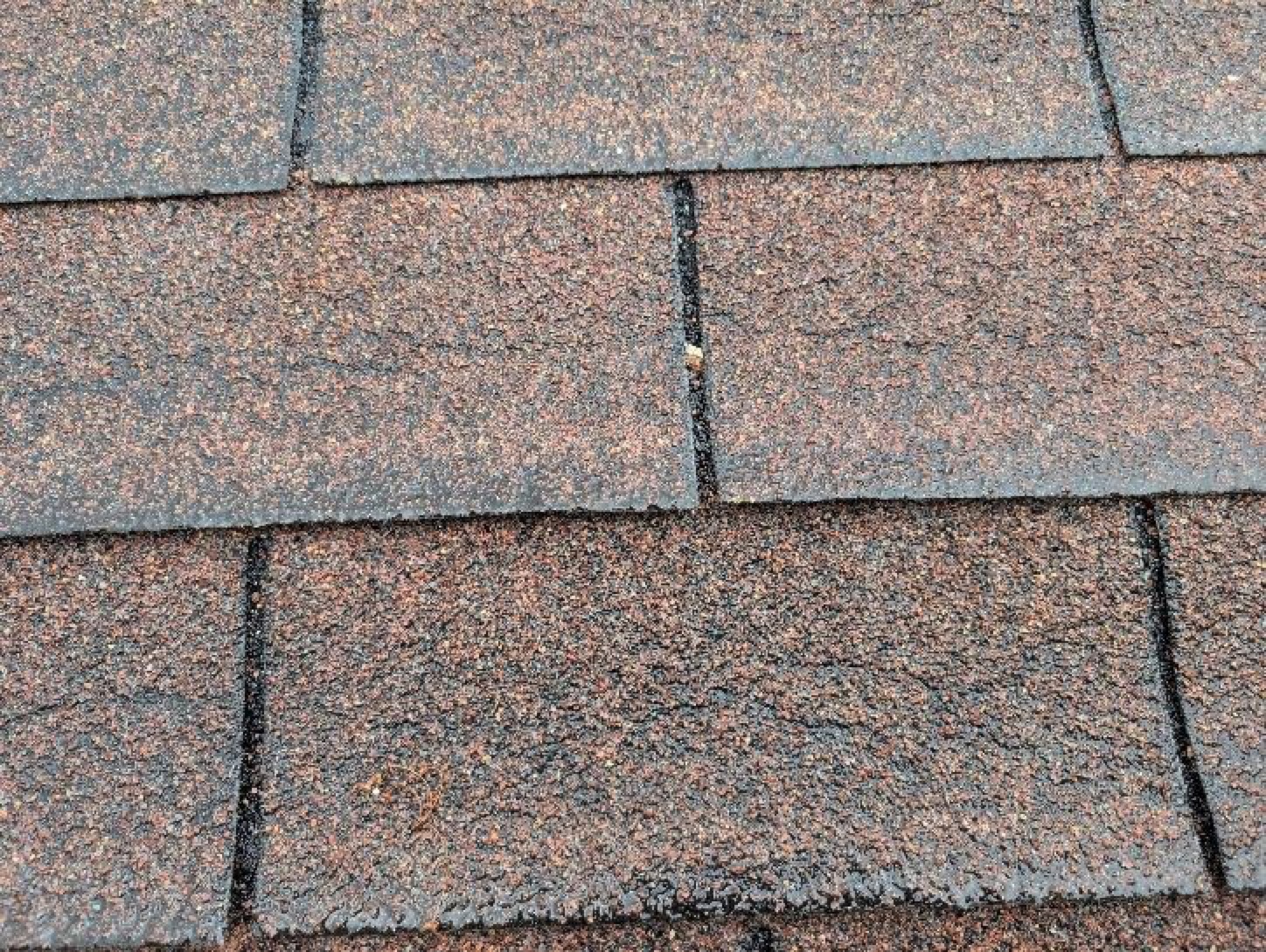 Roofing project in South Olive, MI — 3Sixty Handyman
